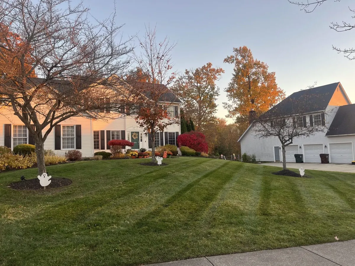 Wide property with fall trees