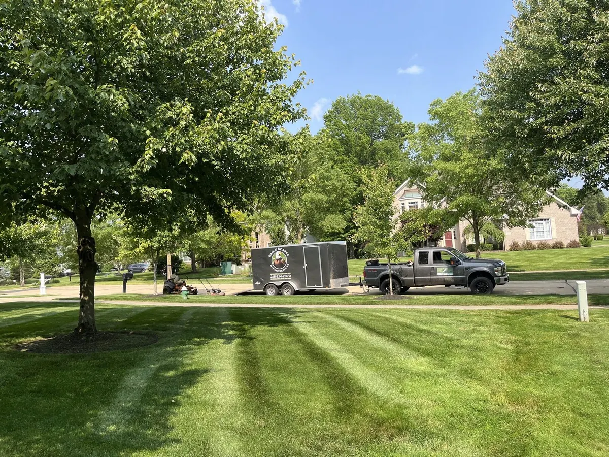 Crisp lawn stripes on a residential property