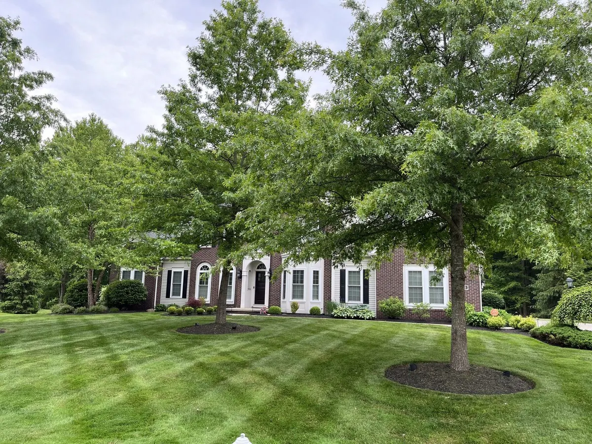 Even mowing stripes on a freshly cut lawn