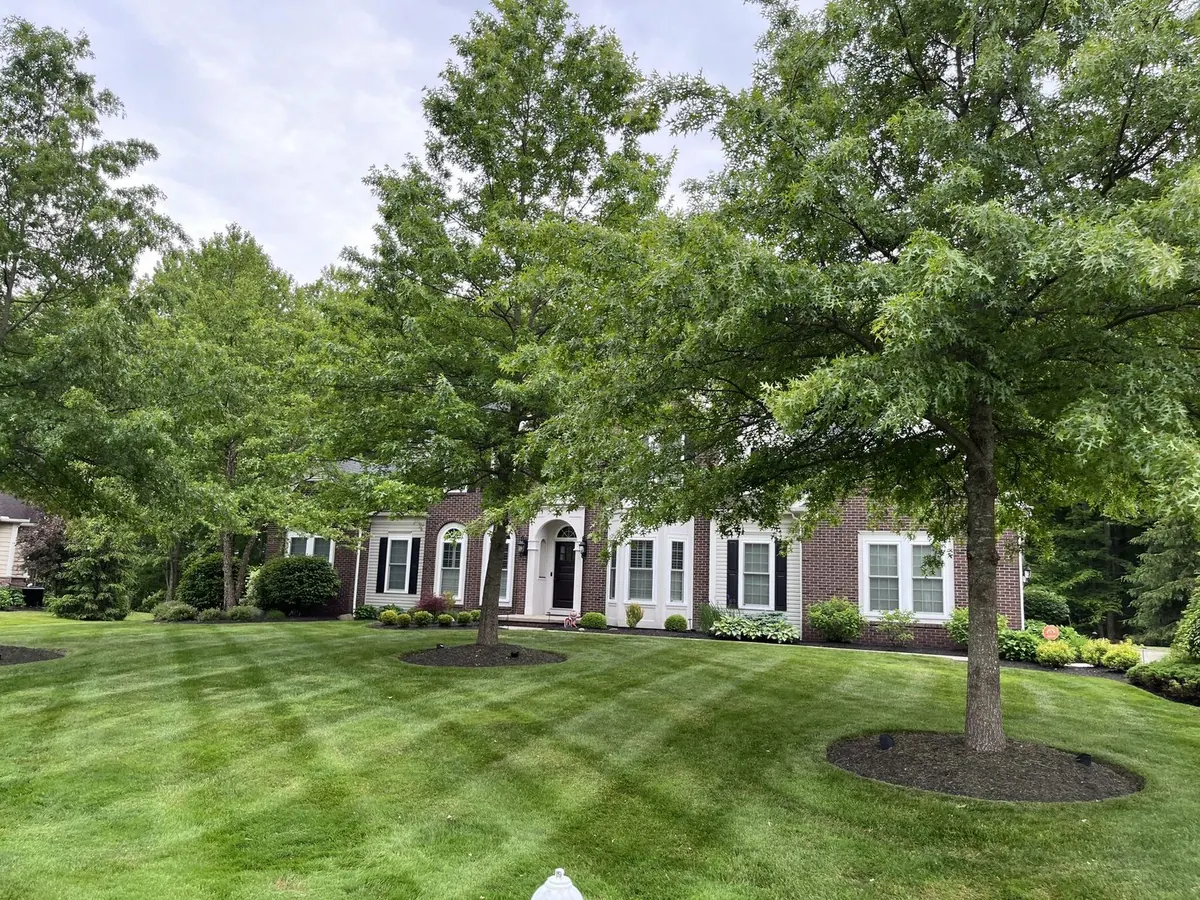 Open lawn freshly mowed with clean cut lines