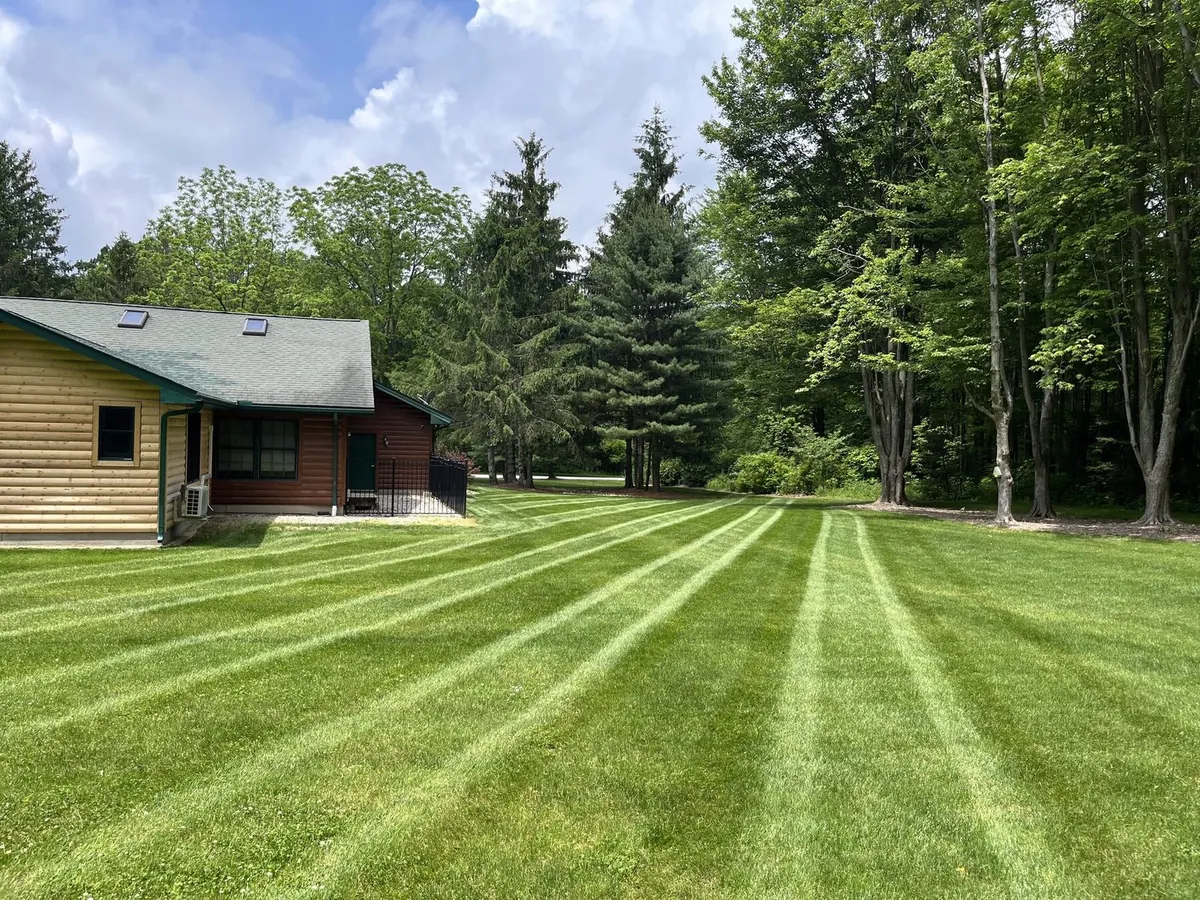 Wide angle of a freshly seeded Northeast Ohio lawn