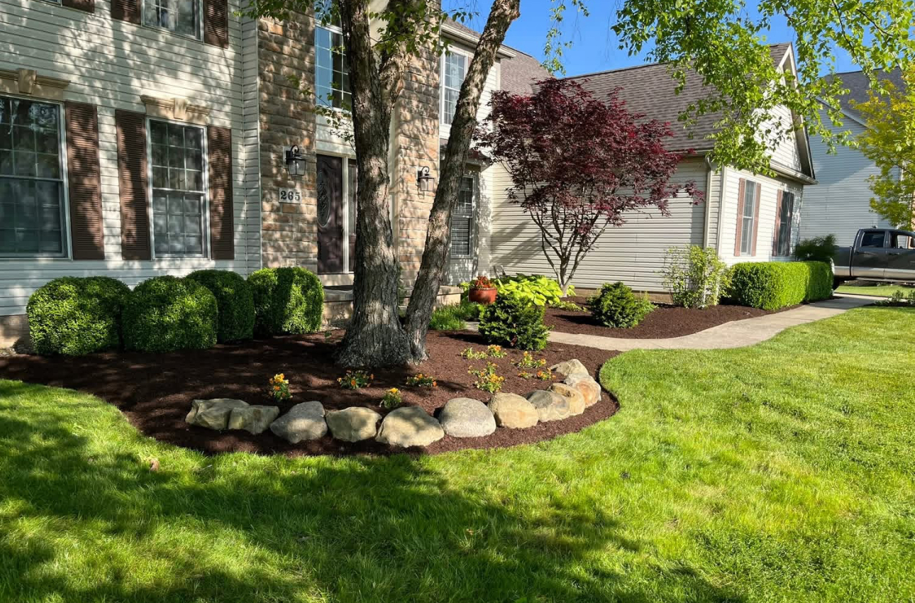 Detailed mulched bed with rock border, tree feature, and Japanese maple